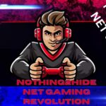 Nothing2Hide NET GAMING Revolution